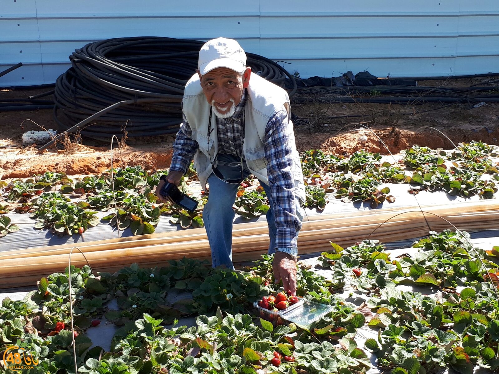 ab7bableaqsaa3 (14).jpg